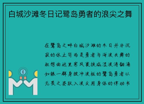 白城沙滩冬日记鹭岛勇者的浪尖之舞