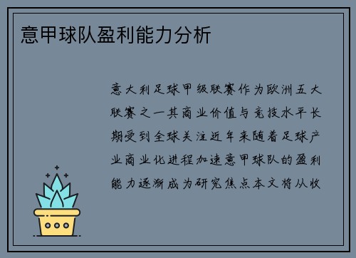 意甲球队盈利能力分析
