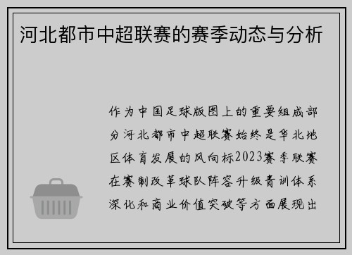 河北都市中超联赛的赛季动态与分析